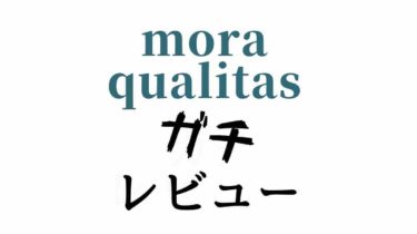 Mora Qualitasレビュー 肝心の音質は けくweb